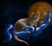 Kompatibilitet mellan råtta och tupp i kärlek