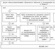 Возникновение обязанности по исчислению налога на добавленную стоимость при безвозмездной передаче товара и ее отражение в декларации по налогу на добавленную стоимость