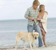 Dog and Monkey signs: compatibility in family life